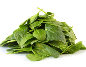 iron-source-spinach-lg